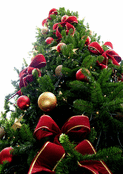 Sapin d&eacute;cor&eacute; avec rubans et boules dor&eacute;es